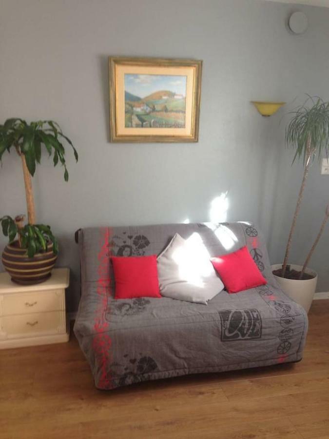 Petit appartement douillet très bien situé Biarriz Exterior foto